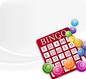 Đội ngũ hỗ trợ zindo